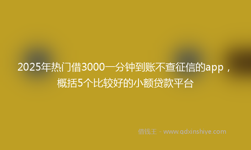 2025年热门借3000一分钟到账不查征信的app，概括5个比较好的小额贷款平台