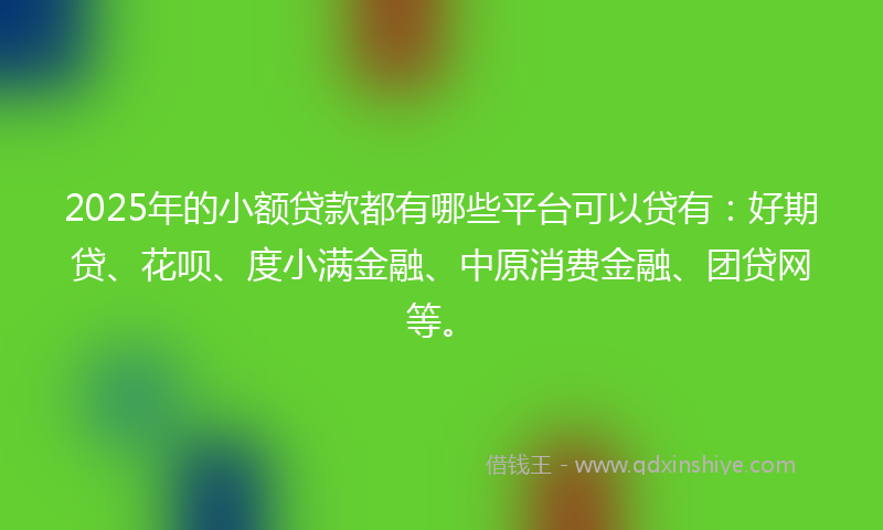 2025年的小额贷款都有哪些平台可以贷有：好期贷、花呗、度小满金融、中原消费金融、团贷网等。