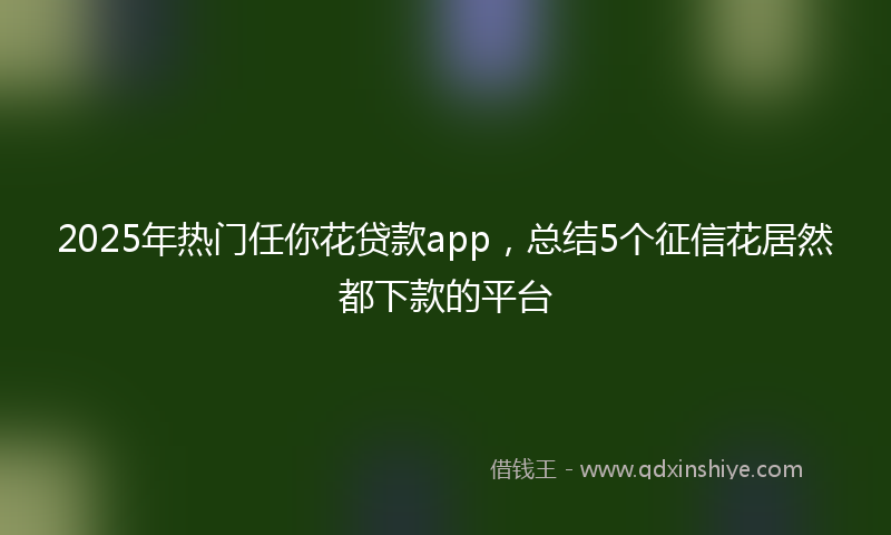 2025年热门任你花贷款app，总结5个征信花居然都下款的平台
