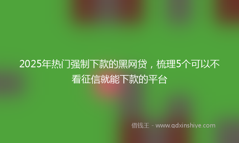 2025年热门强制下款的黑网贷，梳理5个可以不看征信就能下款的平台
