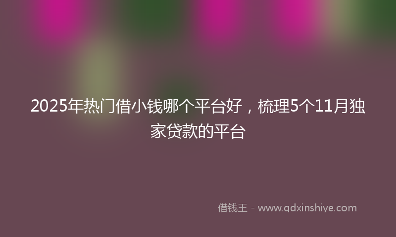 2025年热门借小钱哪个平台好，梳理5个11月独家贷款的平台