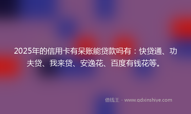 2025年的信用卡有呆账能贷款吗有：快贷通、功夫贷、我来贷、安逸花、百度有钱花等。