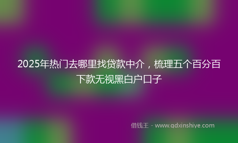 2025年热门去哪里找贷款中介，梳理五个百分百下款无视黑白户口子