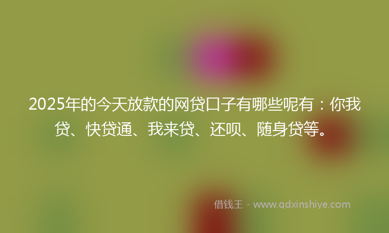 2025年的今天放款的网贷口子有哪些呢有：你我贷、快贷通、我来贷、还呗、随身贷等。