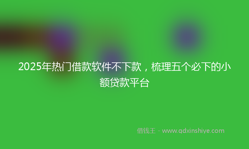 2025年热门借款软件不下款，梳理五个必下的小额贷款平台