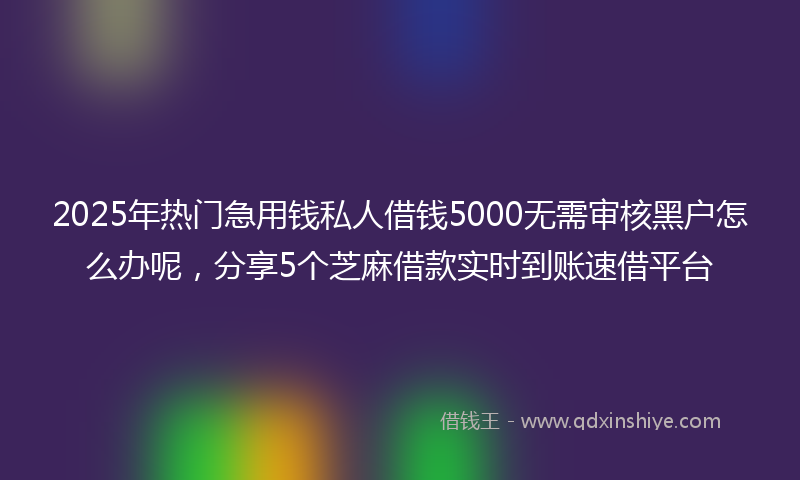 2025年热门急用钱私人借钱5000无需审核黑户怎么办呢，分享5个芝麻借款实时到账速借平台