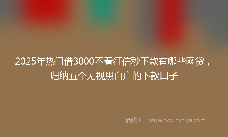 2025年热门借3000不看征信秒下款有哪些网贷，归纳五个无视黑白户的下款口子