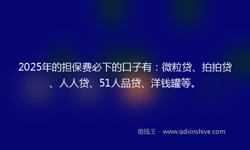 2025年的担保费必下的口子有：微粒贷、拍拍贷、人人贷、51人品贷、洋钱罐等。
