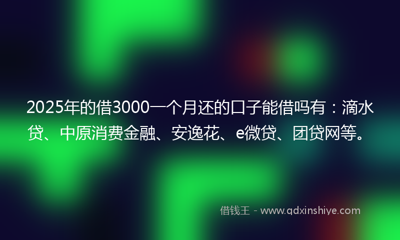 2025年的借3000一个月还的口子能借吗有：滴水贷、中原消费金融、安逸花、e微贷、团贷网等。
