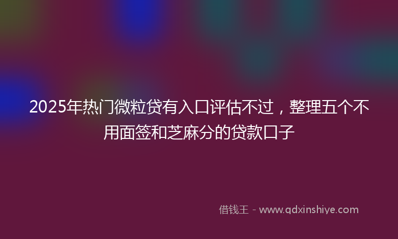 2025年热门微粒贷有入口评估不过，整理五个不用面签和芝麻分的贷款口子