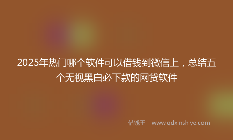 2025年热门哪个软件可以借钱到微信上，总结五个无视黑白必下款的网贷软件