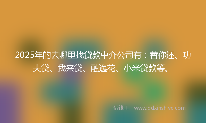 2025年的去哪里找贷款中介公司有：替你还、功夫贷、我来贷、融逸花、小米贷款等。