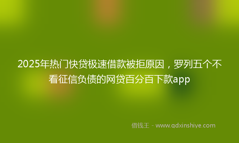 2025年热门快贷极速借款被拒原因，罗列五个不看征信负债的网贷百分百下款app