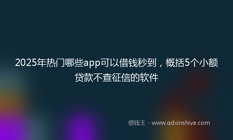 2025年热门哪些app可以借钱秒到，概括5个小额贷款不查征信的软件