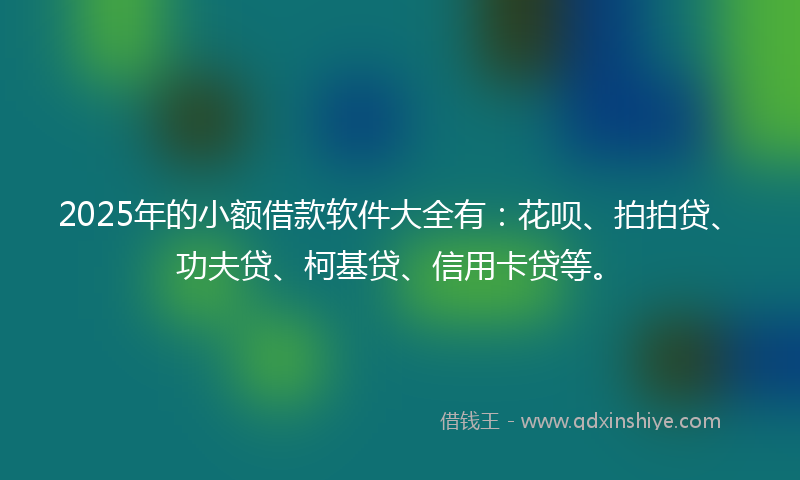 2025年的小额借款软件大全有：花呗、拍拍贷、功夫贷、柯基贷、信用卡贷等。