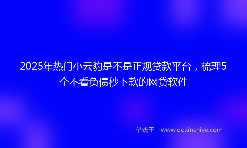 2025年热门小云豹是不是正规贷款平台，梳理5个不看负债秒下款的网贷软件