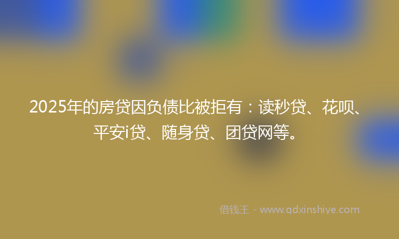 2025年的房贷因负债比被拒有：读秒贷、花呗、平安i贷、随身贷、团贷网等。