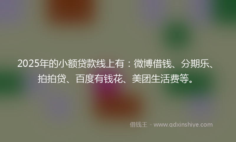 2025年的小额贷款线上有：微博借钱、分期乐、拍拍贷、百度有钱花、美团生活费等。