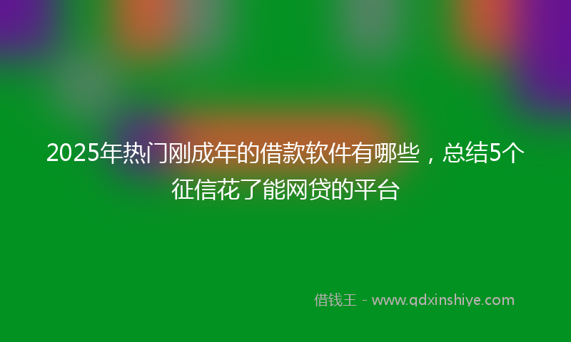 2025年热门刚成年的借款软件有哪些，总结5个征信花了能网贷的平台