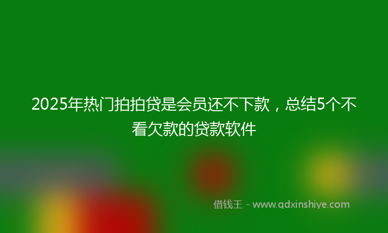 2025年热门拍拍贷是会员还不下款，总结5个不看欠款的贷款软件