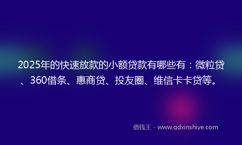 2025年的快速放款的小额贷款有哪些有：微粒贷、360借条、惠商贷、投友圈、维信卡卡贷等。