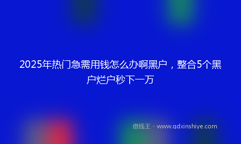2025年热门急需用钱怎么办啊黑户，整合5个黑户烂户秒下一万