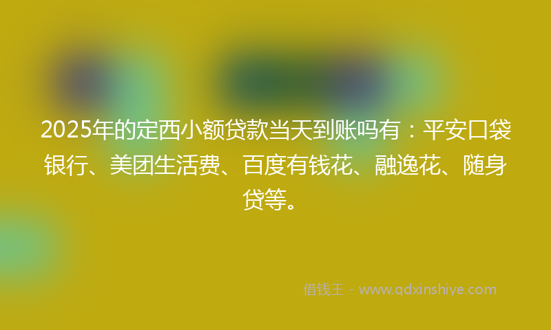 2025年的定西小额贷款当天到账吗有：平安口袋银行、美团生活费、百度有钱花、融逸花、随身贷等。