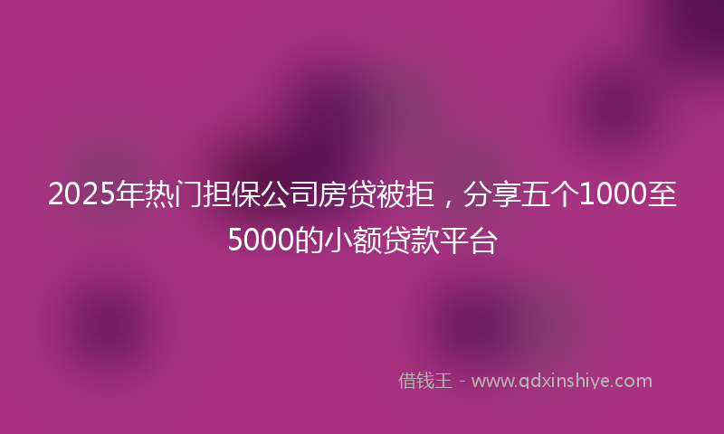 2025年热门担保公司房贷被拒，分享五个1000至5000的小额贷款平台