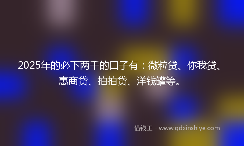 2025年的必下两千的口子有：微粒贷、你我贷、惠商贷、拍拍贷、洋钱罐等。