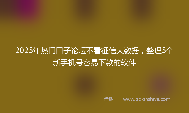 2025年热门口子论坛不看征信大数据，整理5个新手机号容易下款的软件