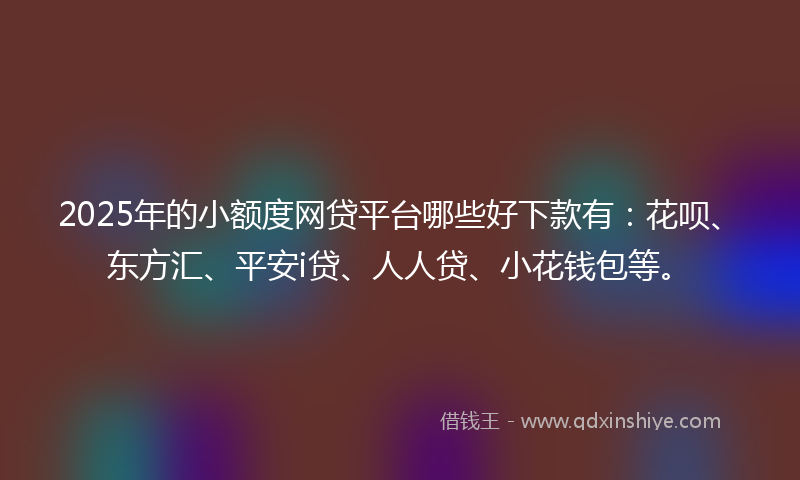 2025年的小额度网贷平台哪些好下款有：花呗、东方汇、平安i贷、人人贷、小花钱包等。