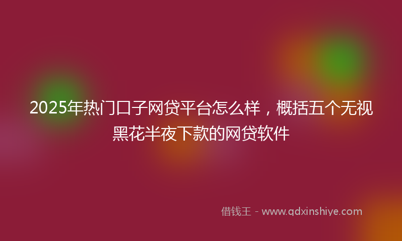2025年热门口子网贷平台怎么样，概括五个无视黑花半夜下款的网贷软件