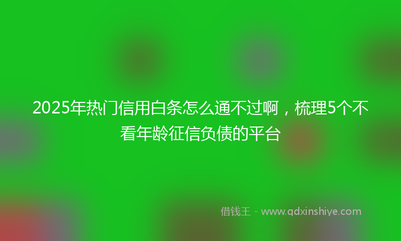 2025年热门信用白条怎么通不过啊，梳理5个不看年龄征信负债的平台
