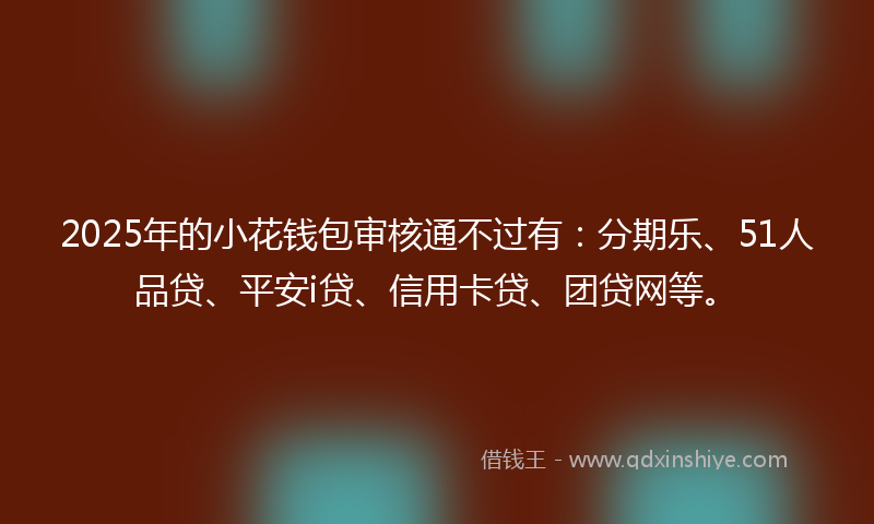 2025年的小花钱包审核通不过有：分期乐、51人品贷、平安i贷、信用卡贷、团贷网等。