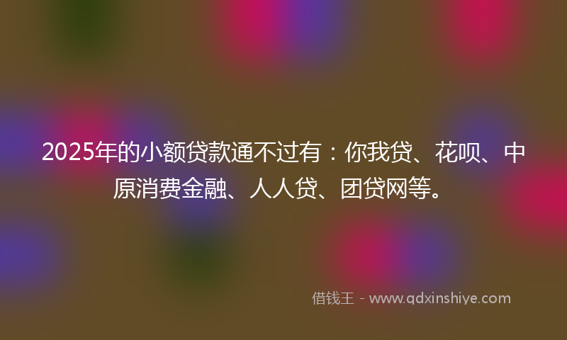 2025年的小额贷款通不过有：你我贷、花呗、中原消费金融、人人贷、团贷网等。