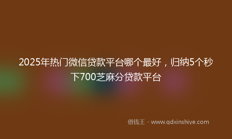 2025年热门微信贷款平台哪个最好，归纳5个秒下700芝麻分贷款平台