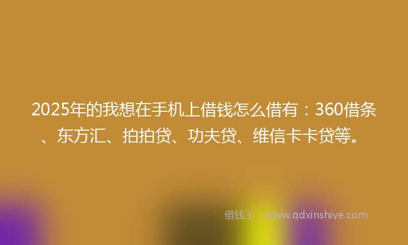2025年的我想在手机上借钱怎么借有：360借条、东方汇、拍拍贷、功夫贷、维信卡卡贷等。