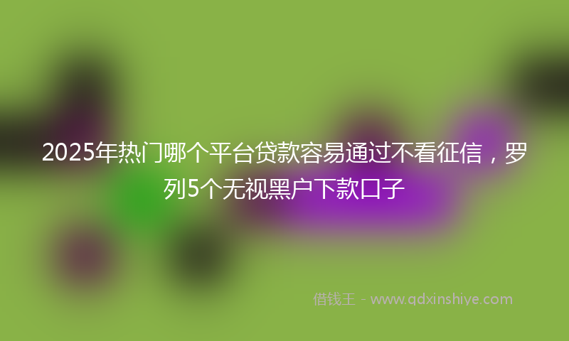 2025年热门哪个平台贷款容易通过不看征信，罗列5个无视黑户下款口子