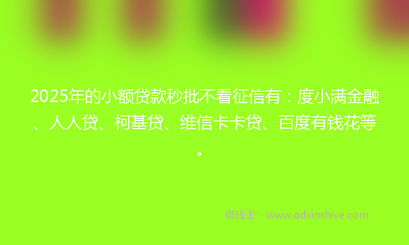 2025年的小额贷款秒批不看征信有：度小满金融、人人贷、柯基贷、维信卡卡贷、百度有钱花等。