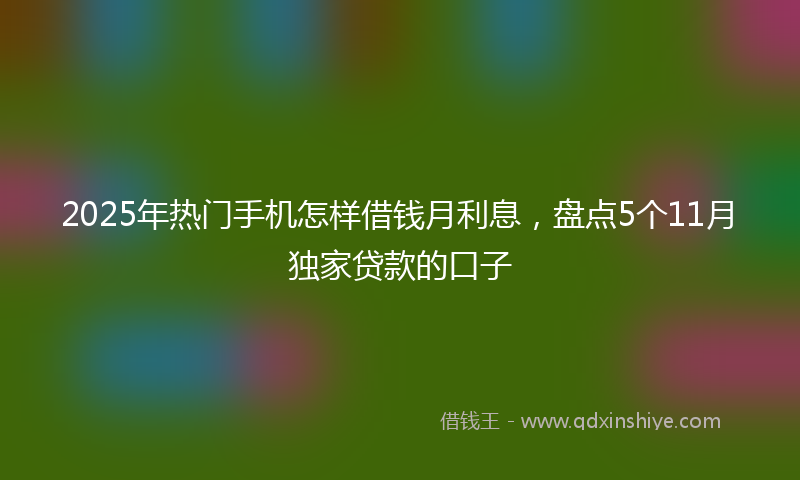 2025年热门手机怎样借钱月利息，盘点5个11月独家贷款的口子