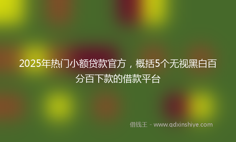 2025年热门小额贷款官方，概括5个无视黑白百分百下款的借款平台
