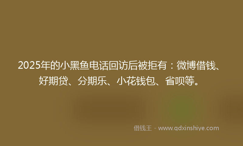 2025年的小黑鱼电话回访后被拒有：微博借钱、好期贷、分期乐、小花钱包、省呗等。