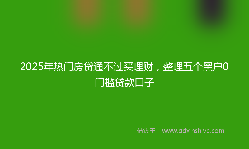 2025年热门房贷通不过买理财，整理五个黑户0门槛贷款口子