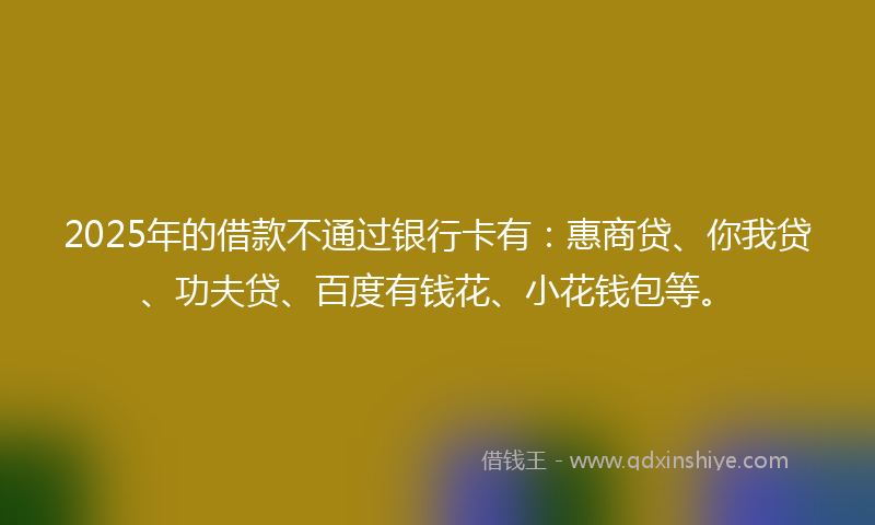 2025年的借款不通过银行卡有：惠商贷、你我贷、功夫贷、百度有钱花、小花钱包等。
