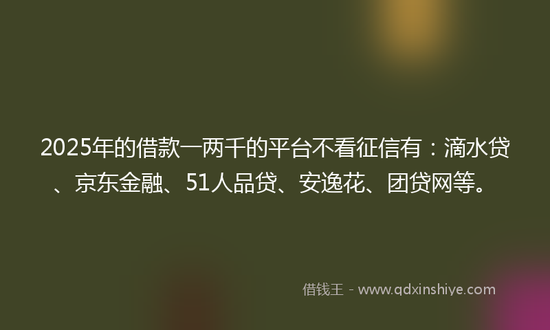 2025年的借款一两千的平台不看征信有：滴水贷、京东金融、51人品贷、安逸花、团贷网等。