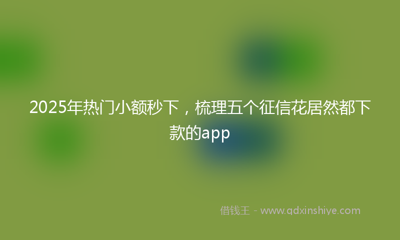 2025年热门小额秒下，梳理五个征信花居然都下款的app