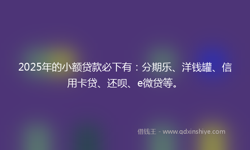 2025年的小额贷款必下有：分期乐、洋钱罐、信用卡贷、还呗、e微贷等。
