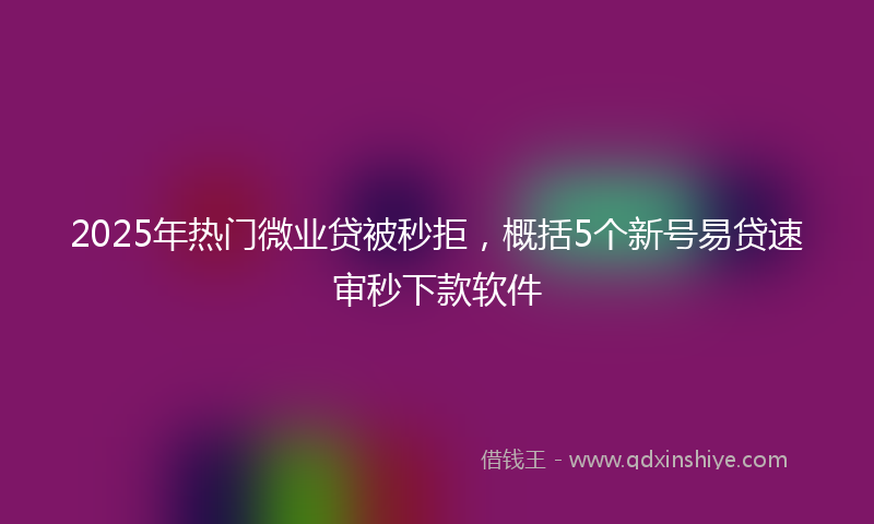 2025年热门微业贷被秒拒，概括5个新号易贷速审秒下款软件
