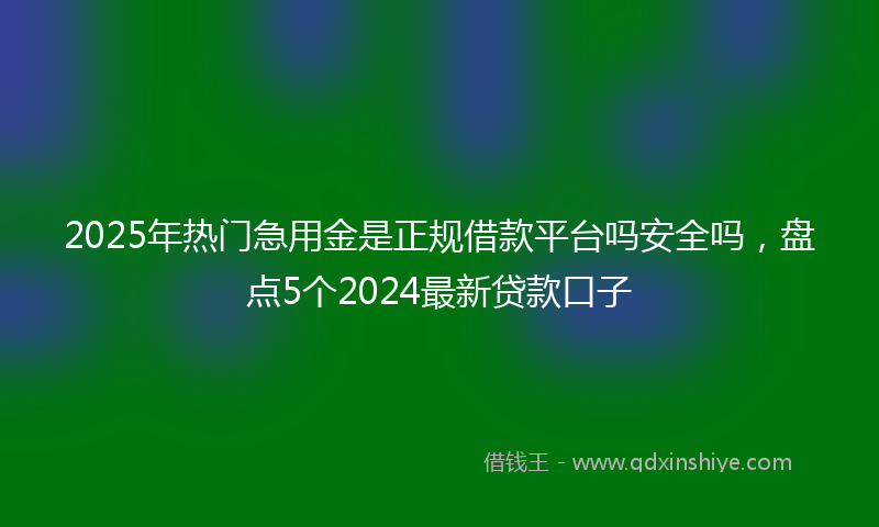 2025年热门急用金是正规借款平台吗安全吗，盘点5个2024最新贷款口子