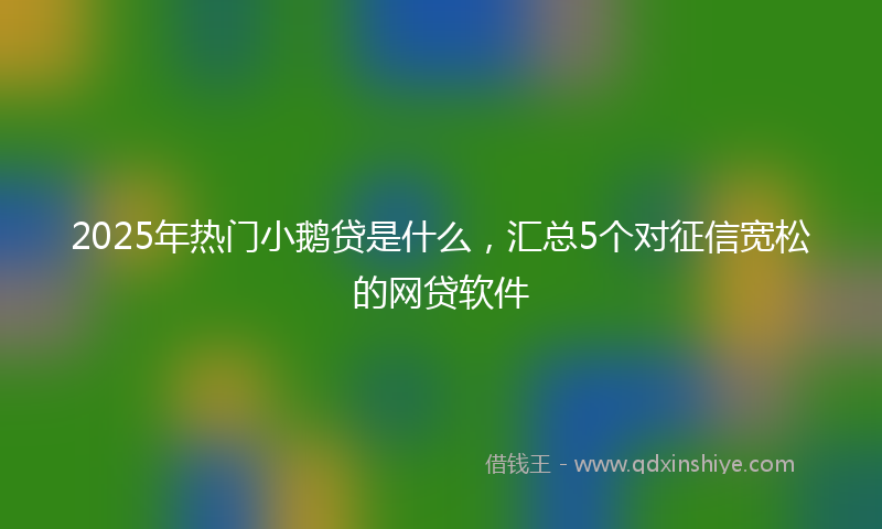 2025年热门小鹅贷是什么，汇总5个对征信宽松的网贷软件